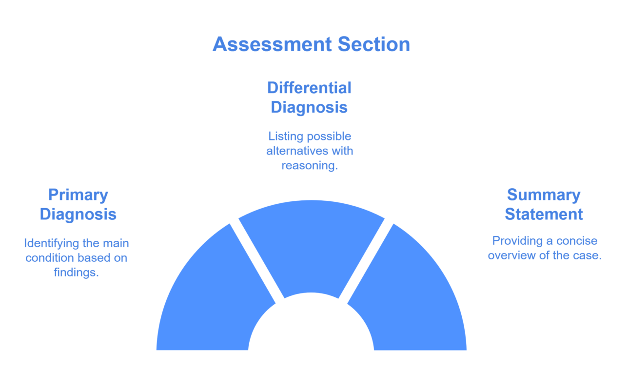 Assessment in SOAP Notes